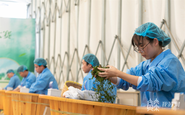 茶叶江苏农林职业技术k1体育平台学院开展“传承匠心学茶技以茶育人留茗香”主题党日活动(图4)