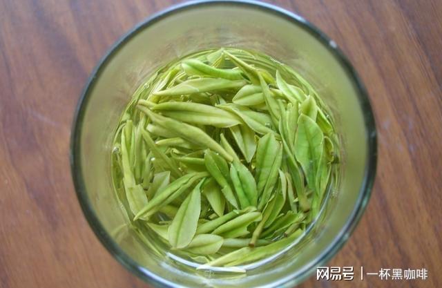 k1体育app茶k1体育平台叶是打通人体经络最有效食品？复旦研究：不同茶叶对应归经不同(图6)