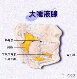 k1k1体育平台体育app茶叶的“回甘生津”你真的会感受吗？(图5)