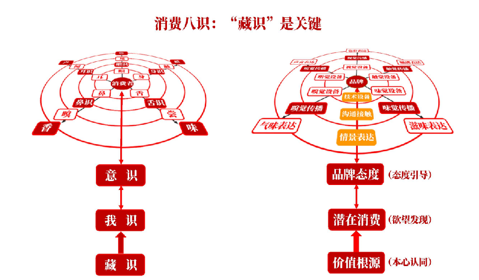 k1体育appk1体育春茶季 胡晓云：中国茶全球品牌竞争中的中国茶叶言说(图6)