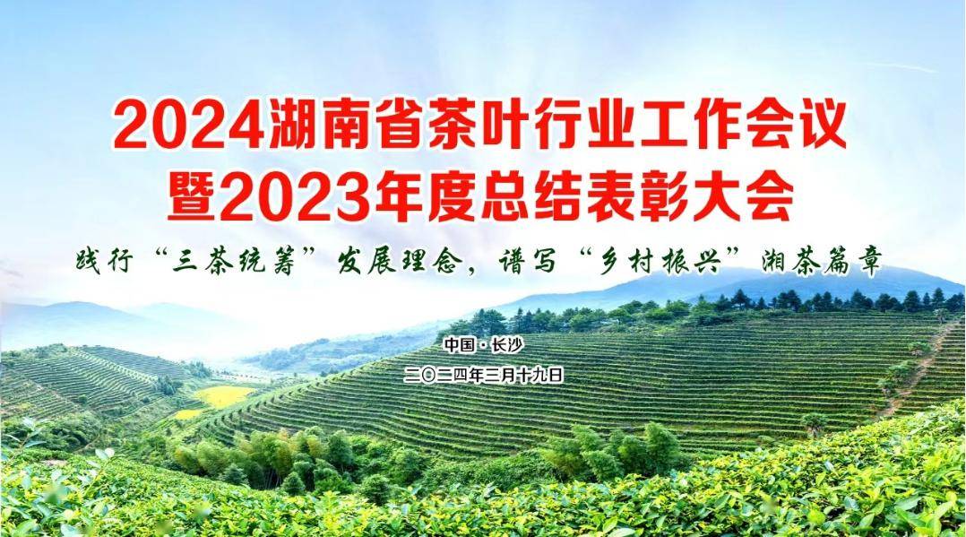 k1体育平台k1体育2024湖南省茶叶行业工作会议暨2023年度总结表彰大会将于3月19日在长沙湖南宾馆召开(图1)