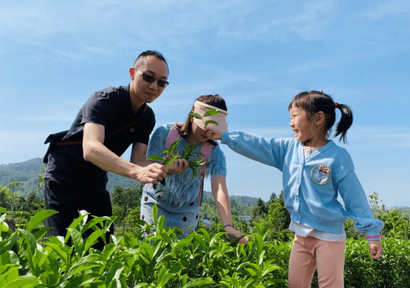 k1体育appk1体育国际茶日丨茶叶、茶饮、茶文化……一杯茶的N种玩法(图7)